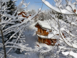 view property