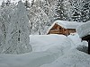 view property