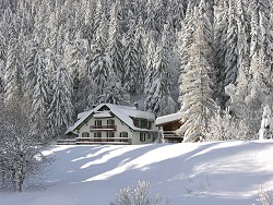 view property
