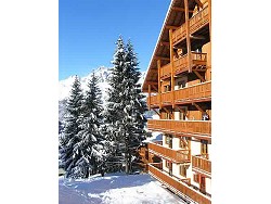 ski holiday accommodation - 
	France