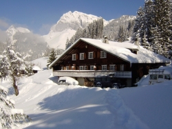 view property