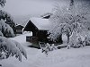 view property