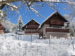 view property