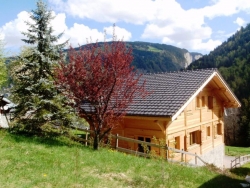 view property