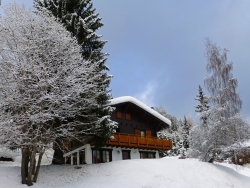ski holiday accommodation -
Switzerland