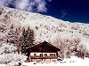 view property